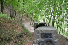 Alpe San Michele 2008