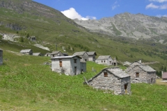 Bosco Gurin 2007