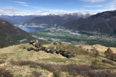 Cima di Medeglia 2019