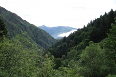 Demanio di Cusello 2007