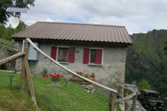 Demanio di Cusello 2007