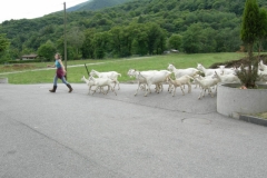 Demanio di Cusello 2007