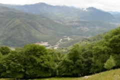 Demanio di Cusello 2007