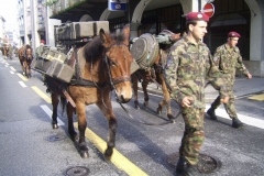 Sfilata Giornate dell'Esercito 2007