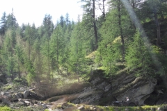 Valle di Peccia 2018